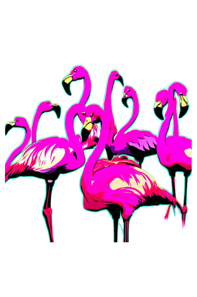 Flamingo Flock Baggy T-Shirt - The Accessorys Official